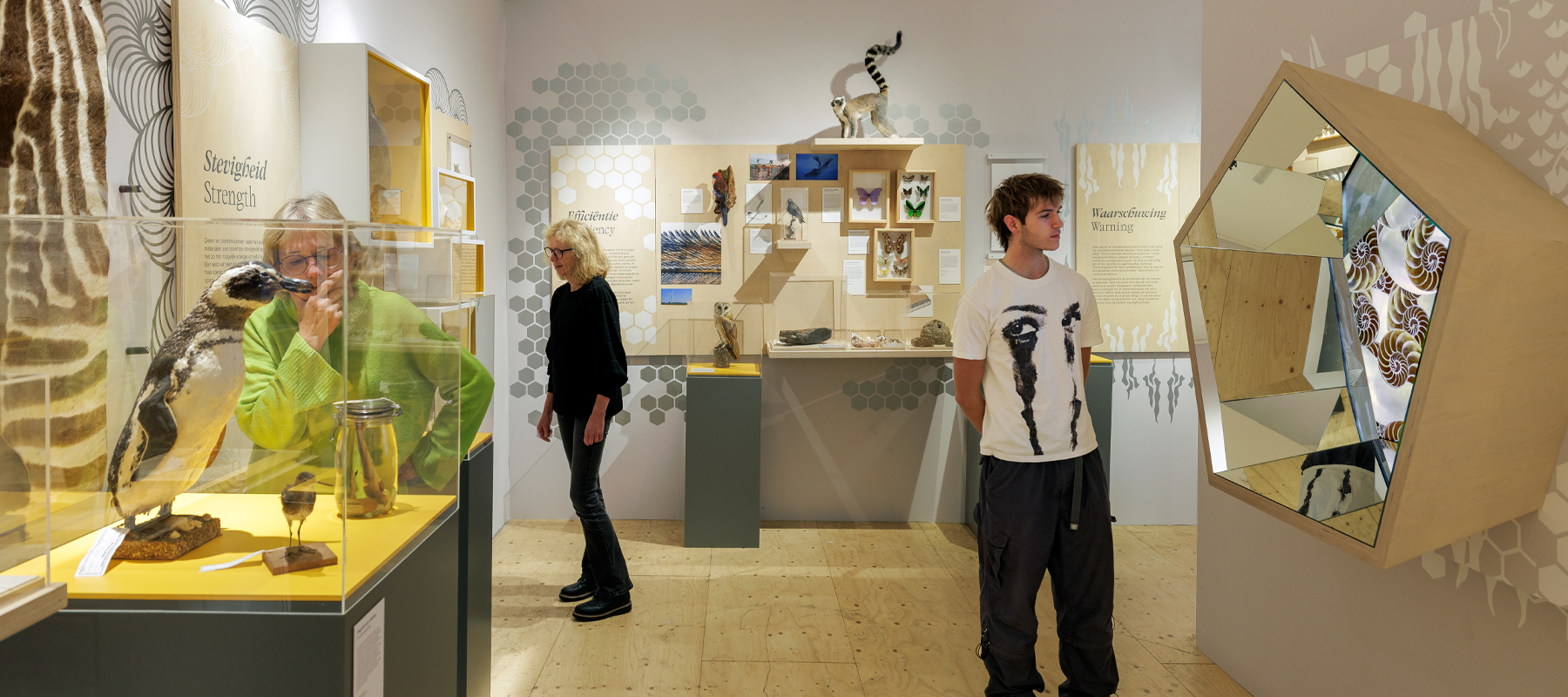 Dots, Stripes & Spirals