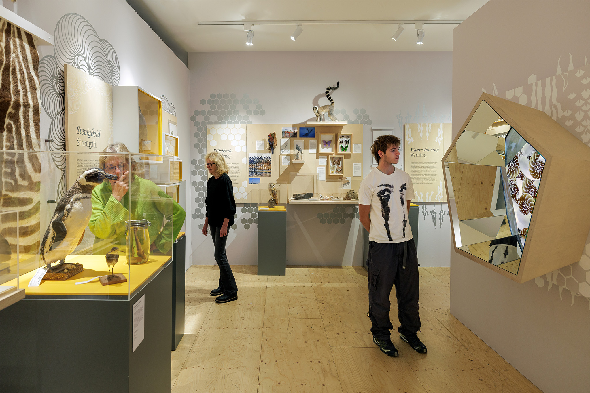 Dots, Stripes & Spirals