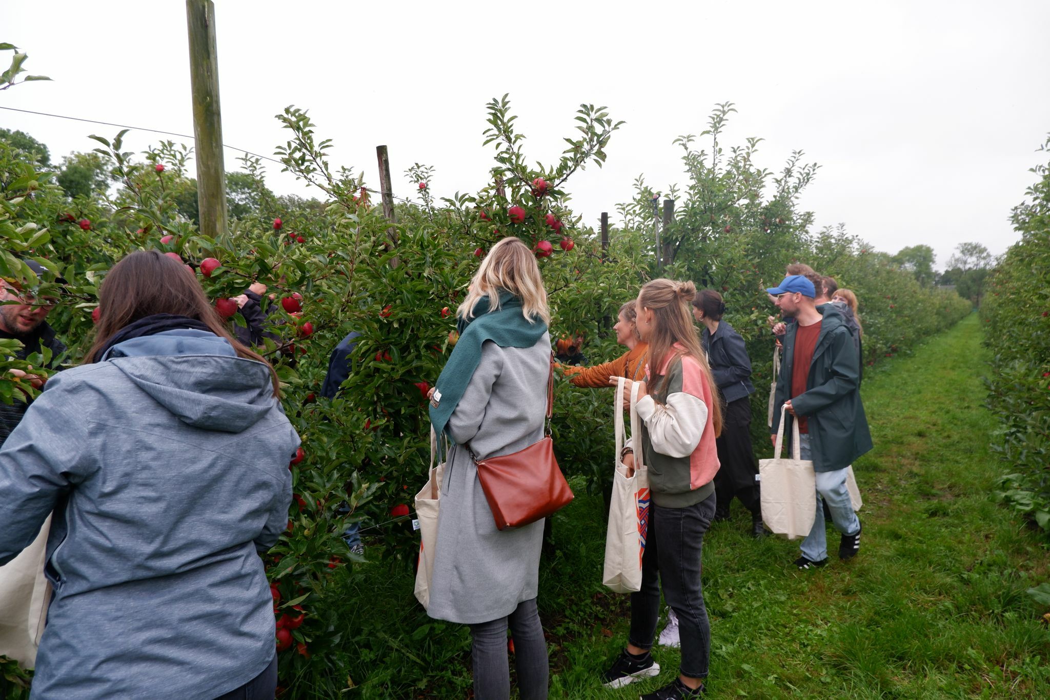 Image for Synergique bestaat 13 jaar! Samen vierden we ons Oogstfeest tussen de appelbomen van Landgoed de Olmenhorst.