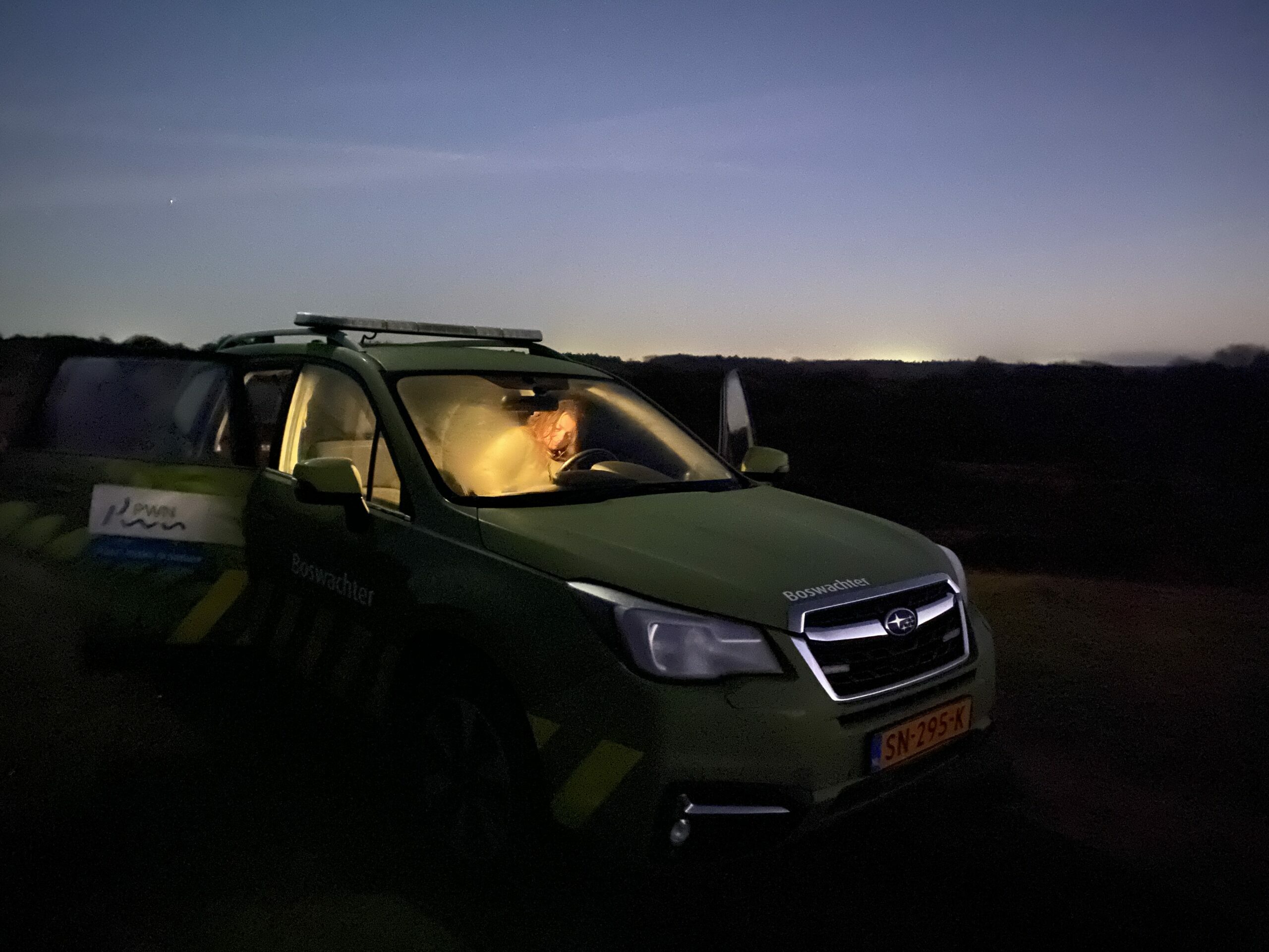 Image for Op nacht excursie met een boswachter van PWN