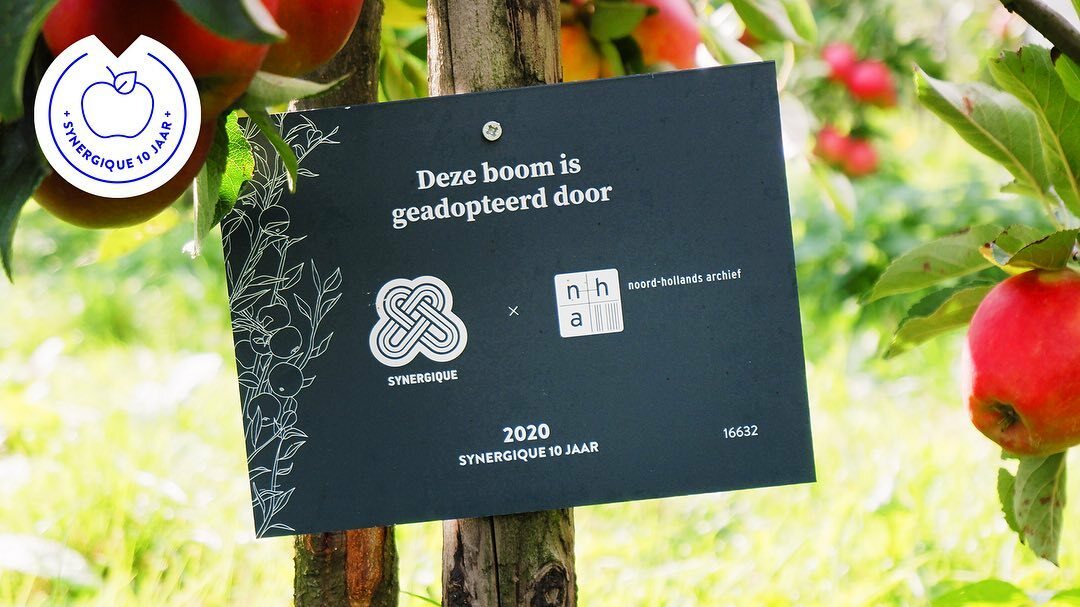 Image for Onze tiende -boom is voor @nharchief. Waarmee we de volgende tentoonstellingen hebben gemaakt: ‘wAARDEvol’, ‘Komt dat zien’, ‘2.000.000 x Fotoburo de Boer’, ‘Binnenstebuiten’, ‘Buiten de Lijnen, ‘Noord-Holland Opgewekt, ‘200 jaar Noord-Hollands Kanaal’,