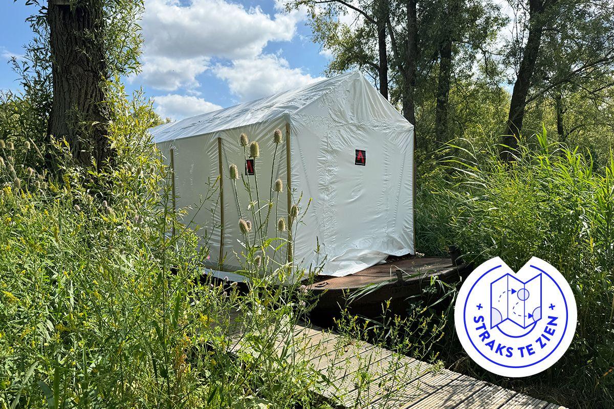 Image for Ergens in de Dordtse Biesbosch, verscholen tussen het riet, ligt dit geheimzinnige bootje. Nu is hij nog kaal en ingepakt, maar dit najaar wordt deze ark gereconstrueerd en vertellen de griendwerkers er hun verhaal.